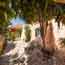 Garden-Alexandros-A